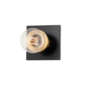Brandi 1-Light Vanity Light