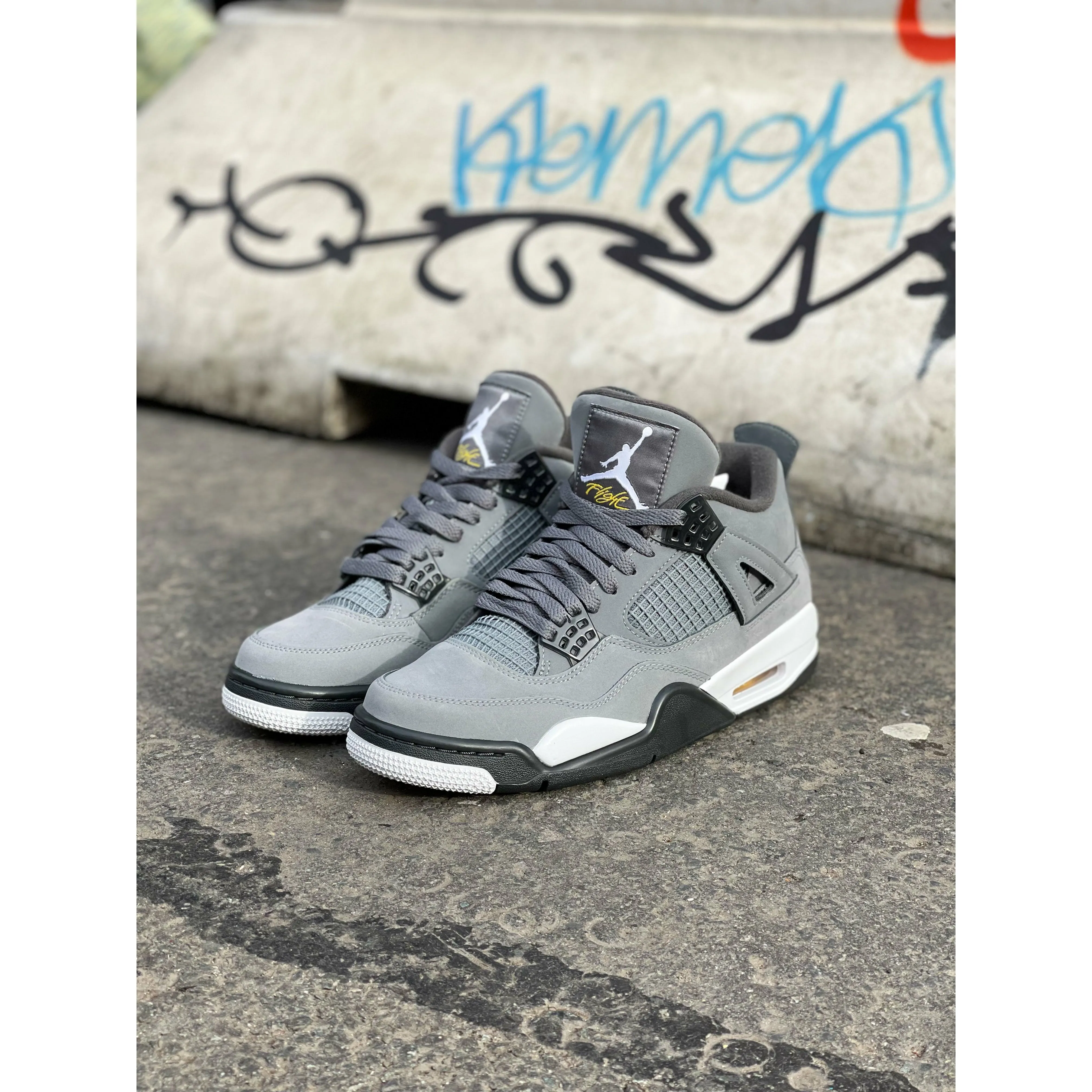 Jordan 4 Retro Cool Grey (2019)